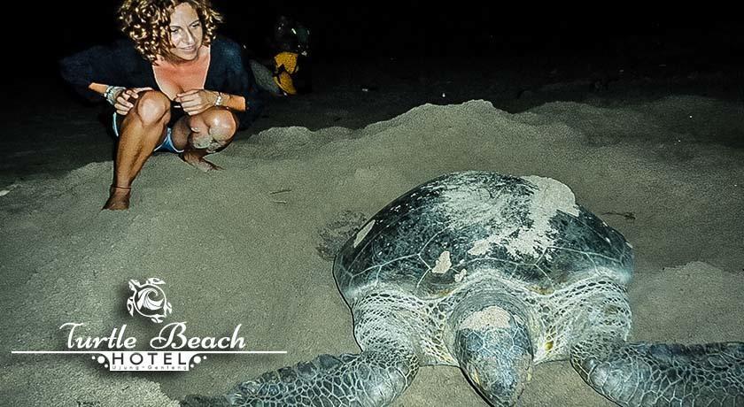 Turtle Beach Hotel Ujunggenteng Quarto foto